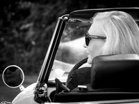Sylvia S: Spider 1600 2026.08-70102