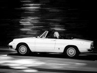 Spider 1600 (Sylvia S)