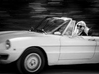Sylvia S: Spider 1600 2026.08-70275