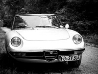 Sylvia S: Spider 1600 2026.08-70352