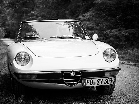 Sylvia S: Spider 1600 2026.08-70352