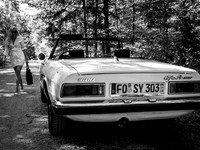 Sylvia S: Spider 1600 2026.08-75289