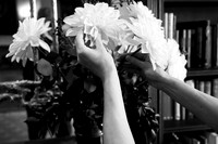 Christina Schels: Splendid Hands 2024.05-70087
