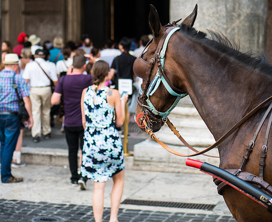 WALKS OF LIFE: Rome 2016.08-50717