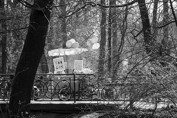 Munich (Englischer Garten) 2022.03-20450