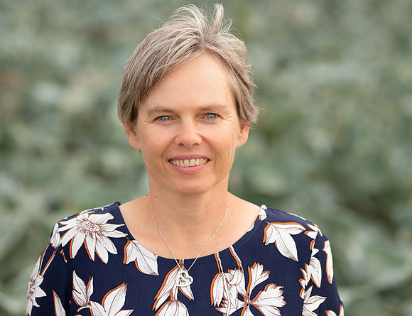 Elke (2020; 95415)