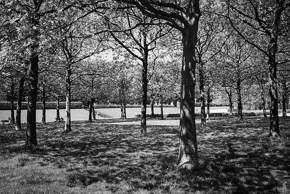 Munich (Hofgarten) 2022.05-15003