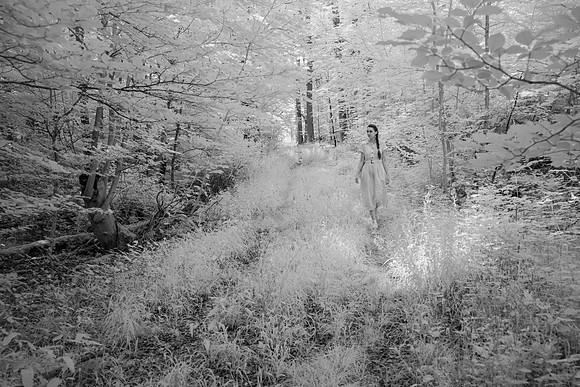 Trisha (aka kupferhaut): Walden 2024.07-15037