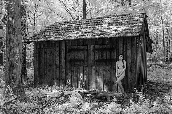 Trisha (aka kupferhaut): Walden 2024.07-15159