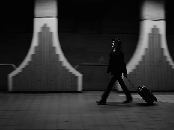 Les Samouraïs 2024.11-20208