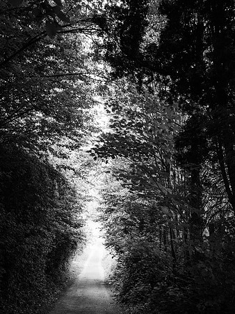 Sessenbach (Rhineland Palatinate, Germany) 2025.05-30001